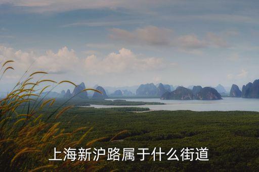 上海市新二路屬于哪個街道辦事處，上海新滬路屬于什么街道