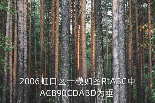 2006虹口區(qū)一模如圖RtABC中ACB90CDABD為垂