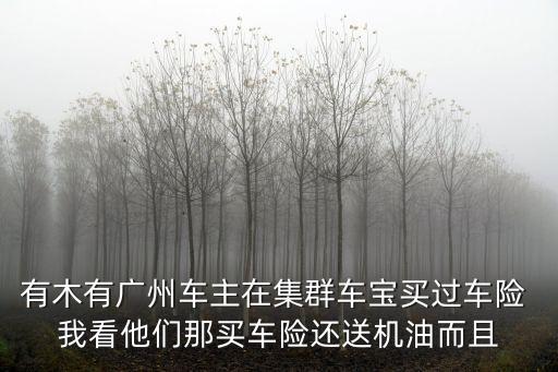 有木有廣州車主在集群車寶買過車險 我看他們那買車險還送機油而且