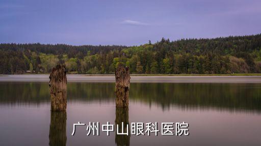 廣州中山眼科是否有急l，廣州中山眼科醫(yī)院