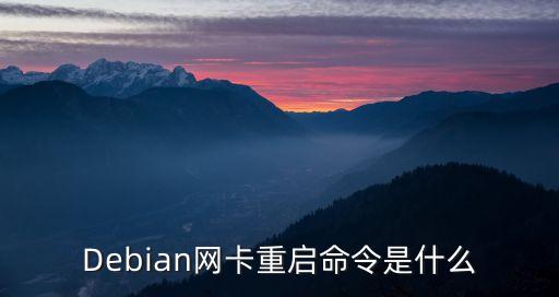 Debian網卡重啟命令是什么