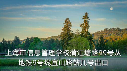 上海市息管理學校，上海市信息管理學校 東安校區初職部怎么樣