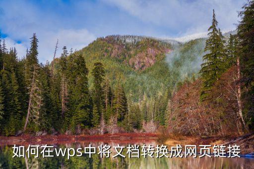 如何在wps中將文檔轉(zhuǎn)換成網(wǎng)頁鏈接