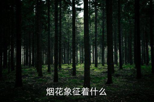 煙花象征著什么
