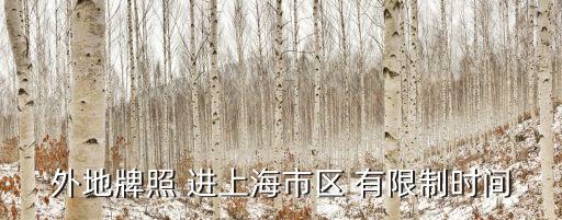 外地牌照 進上海市區 有限制時間