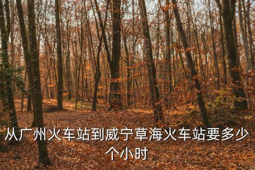 從廣州火車站到威寧草海火車站要多少個小時