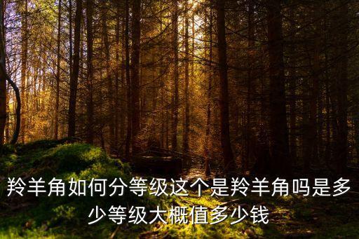 羚羊角片，羚羊角如何分等級這個是羚羊角嗎是多少等級大概值多少錢