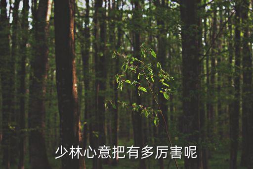 少林心意把有多厲害呢
