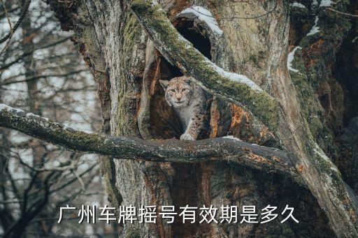 廣州搖號周期，廣州車牌搖號中簽有效期多久