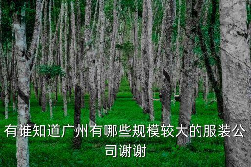 廣州最大高端服裝廠，有誰知道廣州有哪些規模較大的服裝公司謝謝