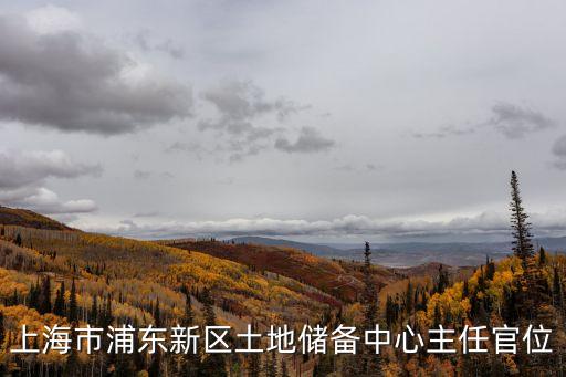 上海市國土資源局人員，上海市規劃和國土資源管理局處長是誰