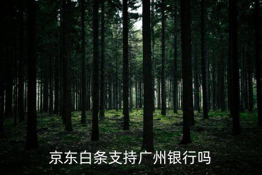 廣州信用卡京東白金卡，京東白條支持廣州銀行嗎