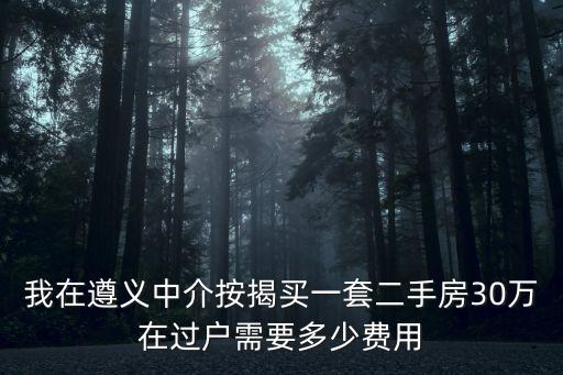 我在遵義中介按揭買一套二手房30萬在過戶需要多少費用