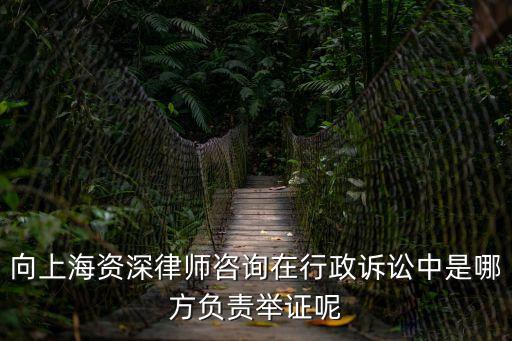 向上海資深律師咨詢在行政訴訟中是哪方負責舉證呢