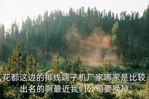 花都這邊的排線端子機廠家哪家是比較出名的啊最近我們公司要換掉
