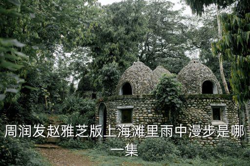 周潤發(fā)趙雅芝版上海灘里雨中漫步是哪一集