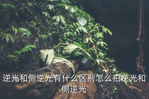 側逆光，側正光和側逆光什么區別