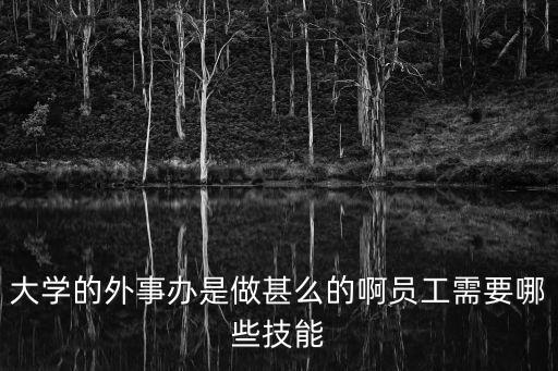 大學的外事辦是做甚么的啊員工需要哪些技能