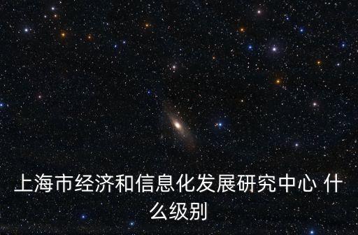 上海市經濟和信息化發展研究中心 什么級別