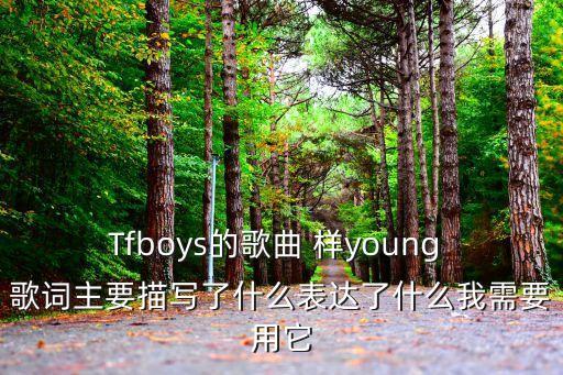 Tfboys的歌曲 樣young 歌詞主要描寫了什么表達了什么我需要用它