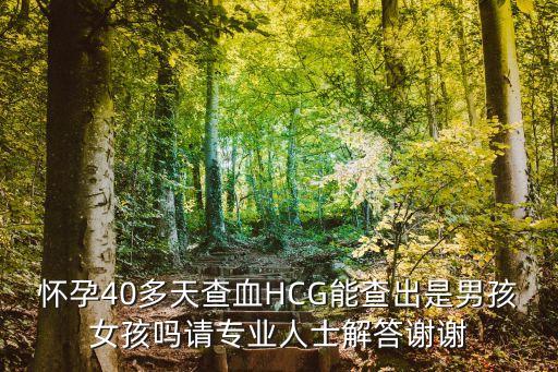 廣州驗(yàn)血懷孕40天驗(yàn)?zāi)信瑧言?0多天查血HCG能查出是男孩女孩嗎請(qǐng)專業(yè)人士解答謝謝