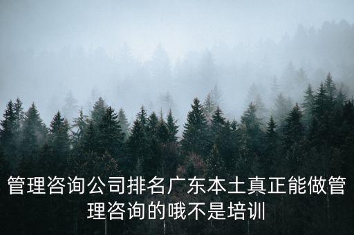 管理咨詢公司排名廣東本土真正能做管理咨詢的哦不是培訓(xùn)