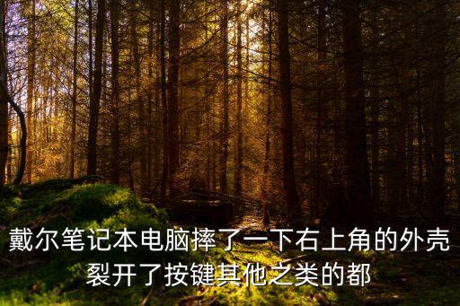 戴爾筆記本電腦摔了一下右上角的外殼裂開(kāi)了按鍵其他之類的都