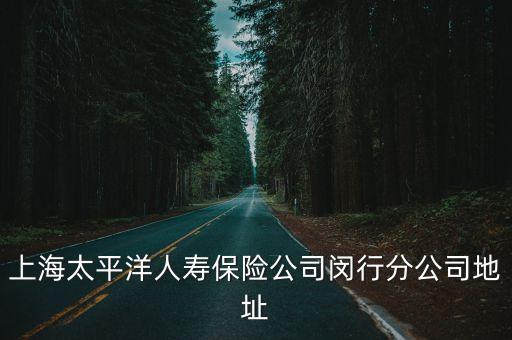 上海太平洋人壽保險公司閔行分公司地址