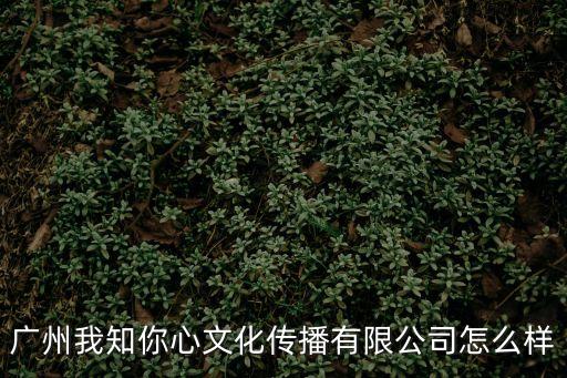 廣州和心文化傳播有限公司，廣州心悅文化傳播有限公司