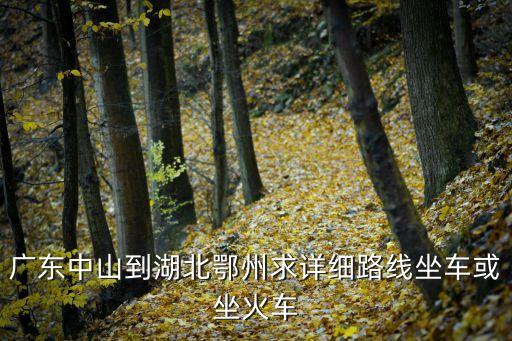 廣州有汽車回鄂州嗎，請問在廣州的白云區該在那里坐汽車到湖北鄂州呀