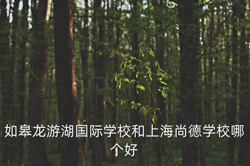 如皋龍游湖國際學校和上海尚德學校哪個好