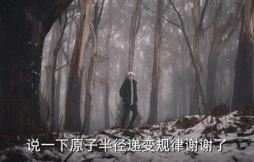 說一下原子半徑遞變規律謝謝了