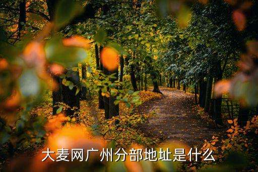 廣州大麥丿數(shù)字營銷服務(wù)商，有人做過廣州大麥電商嗎好不好做