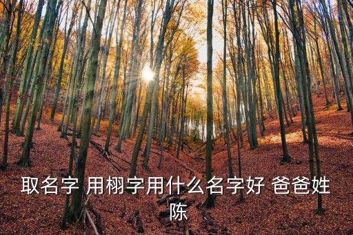 栩字取名，誰幫俄想一下帶栩的昵稱