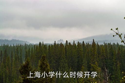 上海市2021小學入學時間，上海市小學生什么時候開學