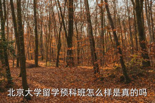 北京大學留學，北大的學生想要出國留學在大幾準備需要是研究生的身份嗎如果獲