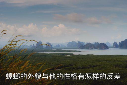 螳螂的外形特征，螳螂有哪些外貌特點呢