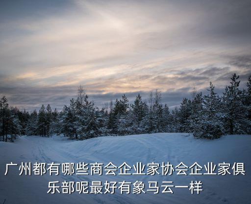 廣州都有哪些商會企業(yè)家協(xié)會企業(yè)家俱樂部呢最好有象馬云一樣