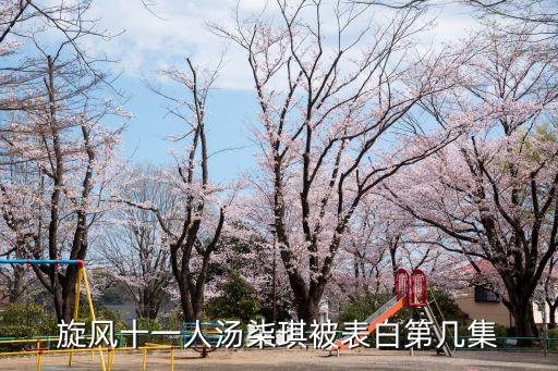 湯柒琪，旋風(fēng)十一人湯柒琪懷孕真的假的