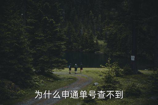 為什么申通單號查不到