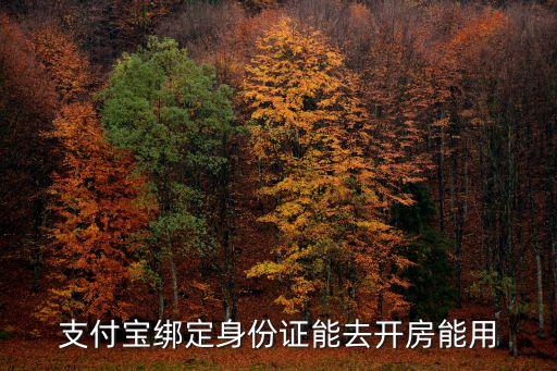 支付寶綁定身份證能去開房能用