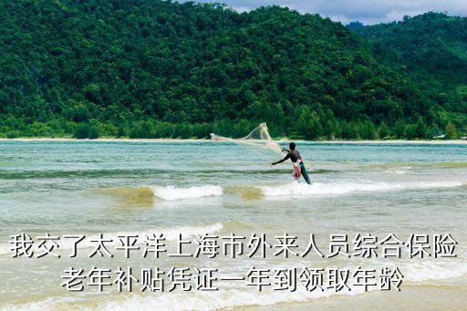 我交了太平洋上海市外來人員綜合保險老年補貼憑證一年到領取年齡
