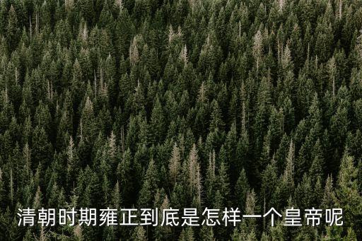清朝時期雍正到底是怎樣一個皇帝呢
