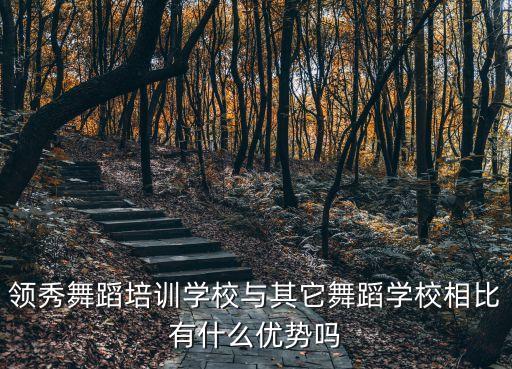 領秀舞蹈培訓學校與其它舞蹈學校相比有什么優勢嗎