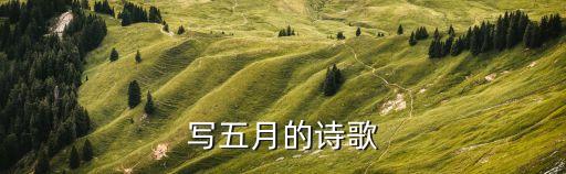 青澀五月，求夢(mèng)幻西游網(wǎng)吧序列號(hào)