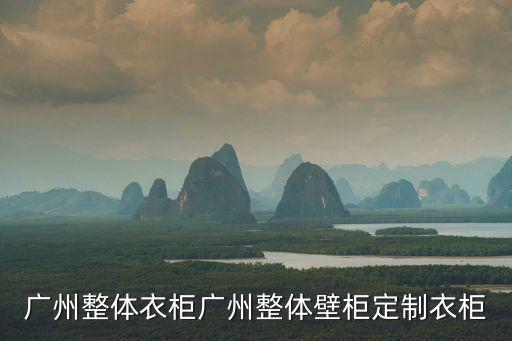 廣州整體衣柜廣州整體壁柜定制衣柜