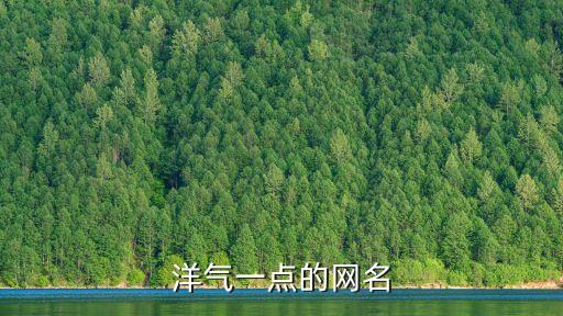 洋氣網名，來幾個洋氣點的網名