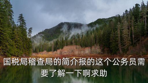 稅務(wù)稽查局，稅務(wù)稽查局是主管稅務(wù)機(jī)關(guān)嗎