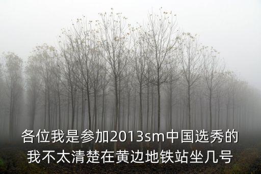 各位我是參加2013sm中國選秀的我不太清楚在黃邊地鐵站坐幾號