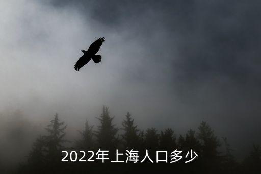 2022年上海人口多少
